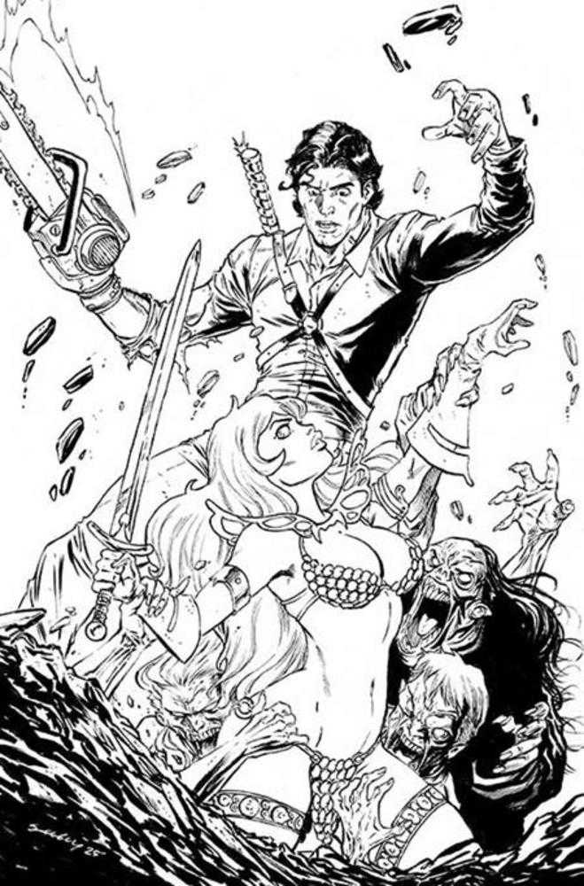 Red Sonja vs Aod #4 Cover I Inc 1:15 Tim Seeley Virgin Line Art Variant