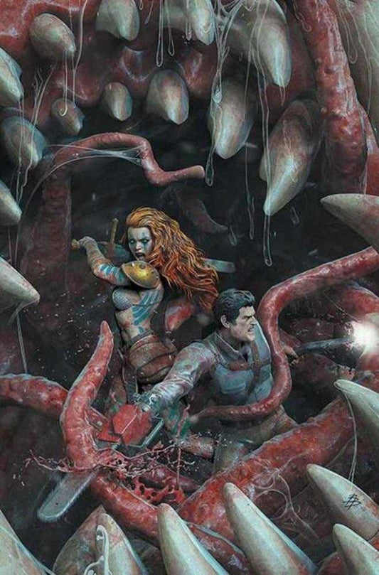 Red Sonja vs Army Of Darkness #5 Cover J 1:15 Inc Bjorn Barends Full Art Variant