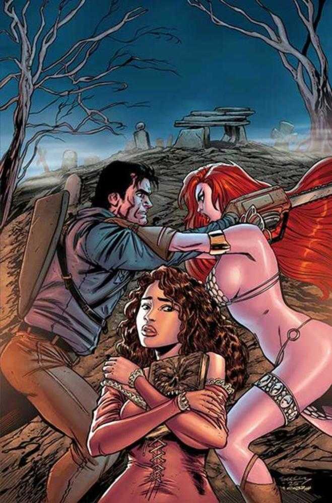 Red Sonja vs Army Of Darkness #5 Cover K 1:20 Inc Tim Seeley Full Art Variant