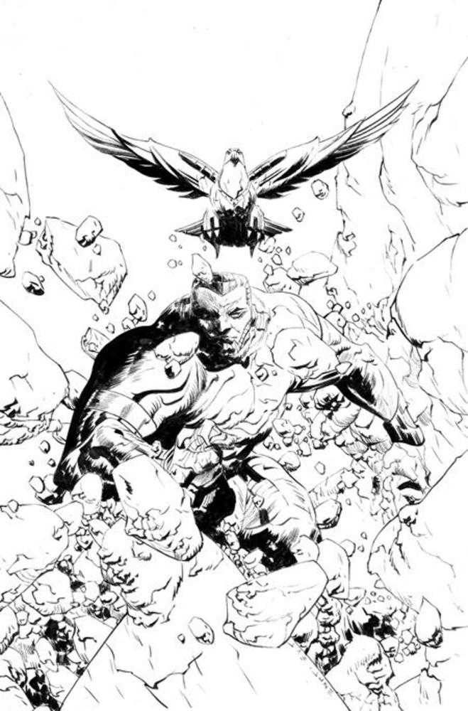 Silverhawks #8 Cover H 1 in 10 Jae Lee Line Art Full Art Variant