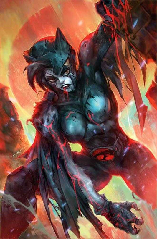 Thundercats X Silverhawks Thunderhawks #2 Cover J 1 in 25 Ivan Tao Full Art Variant