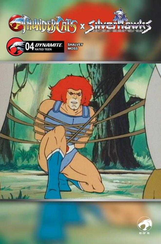 Thundercats X Silverhawks #4 Cover E Animation Art Variant