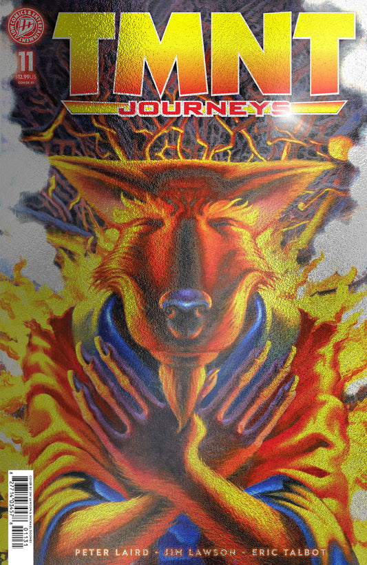 Teenage Mutant Ninja Turtles: Journeys #11 Variant Ri (10) Foil (Dooney & Lawson)