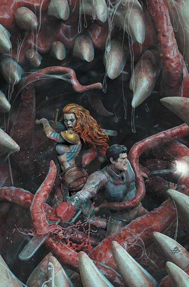 Red Sonja vs Army Of Darkness #5 Cover J 1:15 Inc Bjorn Barends Full Art Variant
