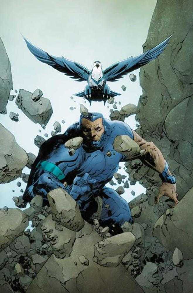 Silverhawks #8 Cover O 1 in 25 Jae Lee June Chung Full Art Variant