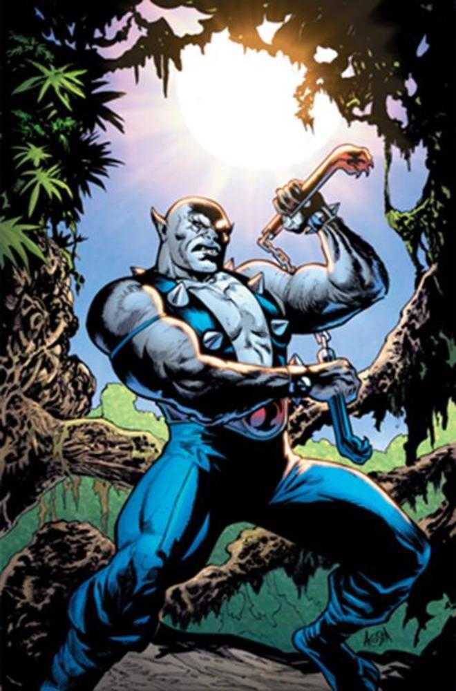 Thundercats Panthro #1 Cover J Inc 1:15 Dave Acosta Full Art Variant