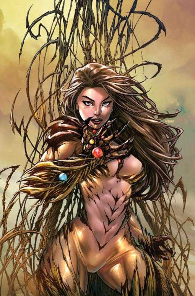 Witchblade #19 Cover C 1 in 25 Edition Benes Richard Friend Full Art Variant (Mature)
