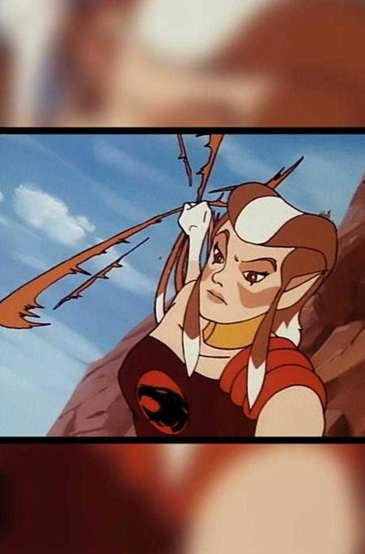 Thundercats X Silverhawks Thunderhawks #1 Cover K Inc 1:20 Animation Art Full Art Variant