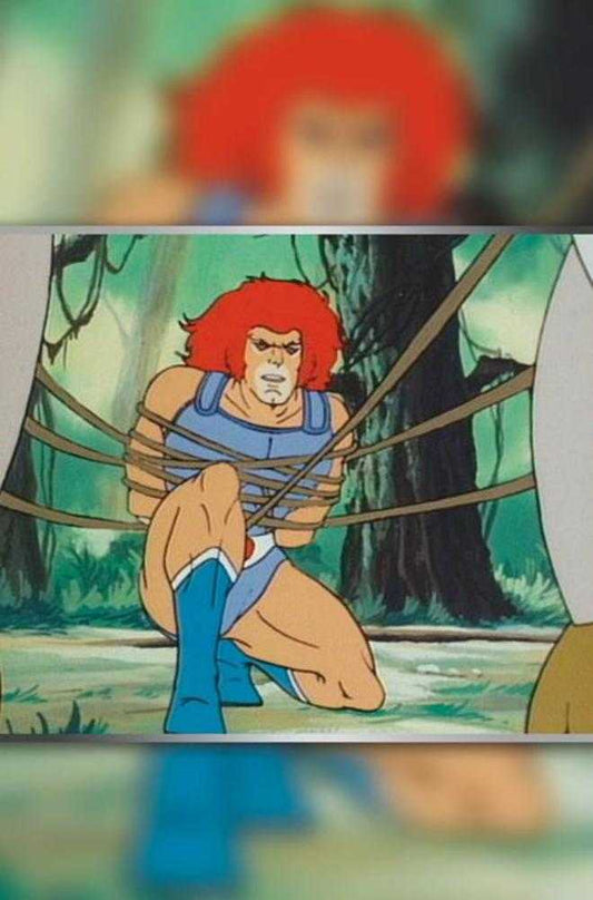 Thundercats X Silverhawks #4 Cover G 1 in 10 Animation Art Full Art Variant