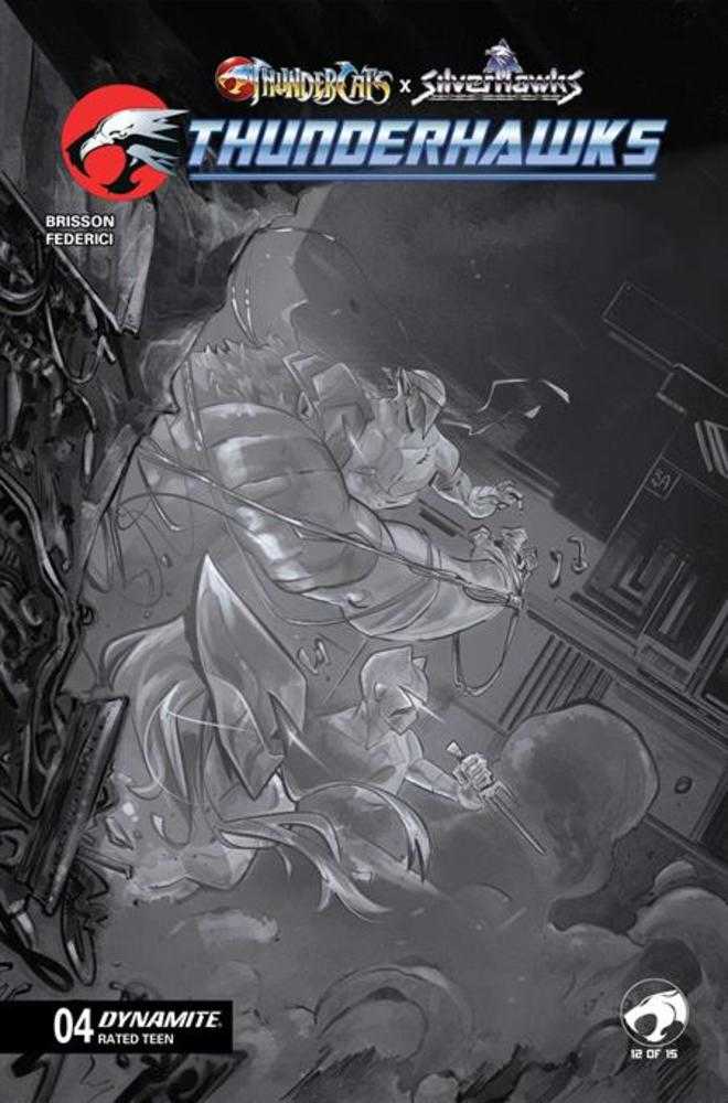 Thundercats X Silverhawks Thunderhawks #4 Cover G 1 in 10 Alessandro Ranaldi Full Art Variant