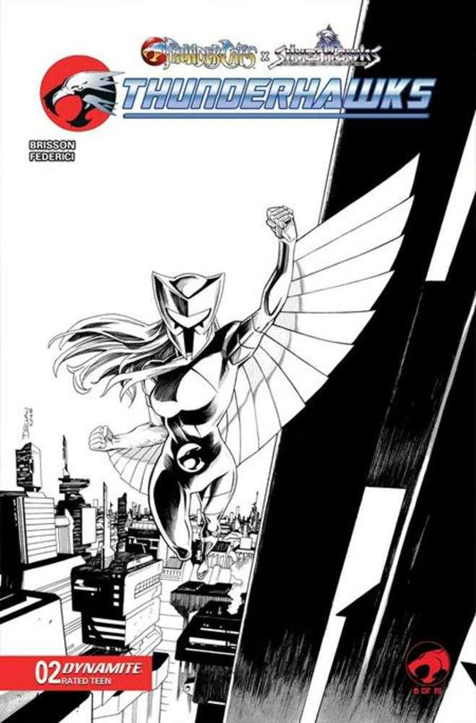 Thundercats X Silverhawks Thunderhawks #2 Cover K Declan Shalvey Line Art Variant